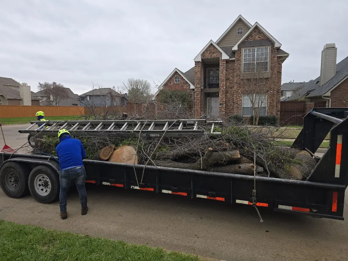 Expert Tree Fertilization with proper safety equipment in Sealy